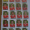 PANINI - Champions League 2009-2010 / Liverpool (20 stikere)