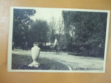 Carte postala Galati Parcul din centru 1942, Circulata, Fotografie