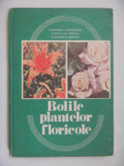 BOLILE PLANTELOR FLORICOLE Marinescu Gheorghe foto