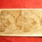 Fotografie stereoscopica -Fauna- Paradis Terestru-sfarsit sec.XIX