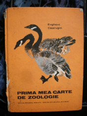 Prima mea carte de zoologie -Evgheni Cearusin foto