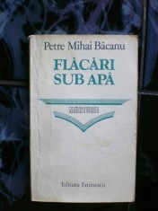 Flacari sub apa-marturii-Petre Mihai Bacanu foto