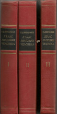 Sinelnikov - Atlas de anatomie umana ( 3 volume, in limba rusa ) foto