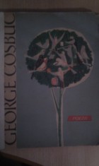 POEZII DE GEORGE COSBUC,ILUSTRATII DE A.STOICESCU,EDITURA TINERETULUI 1964,FORMAT MARE,BOGAT ILUSTRATA