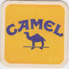 Suport de pahar / Biscuite CAMEL