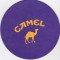 Suport de pahar / Biscuite CAMEL