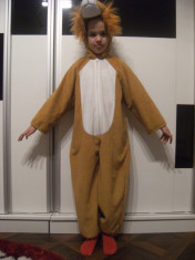 Costum de Leu, pentru copii intre 8-10 ani, ideal pentru scenete teatru/petrceri private, din poliester, stare perfecta ! foto