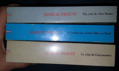 Proust DU COTE DE CHEZ SWANN * A L&amp;#039;OMBRE DES JEUNES FILLES EN FLEUR * DU COTE DE GUERMANTES 3 volume Maxi-poche 1995 foto