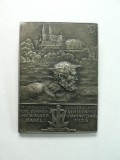 VECHE INSIGNA - NAVIGATIE - ELVETIA - BASEL 1926 - DIM 4,5 X 3,3 CM