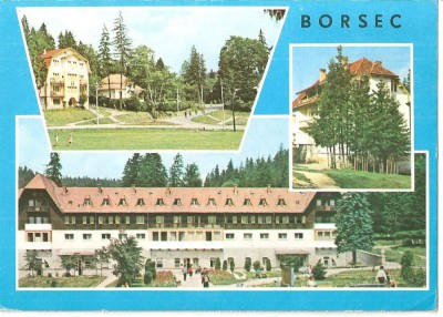 CPI (B4233) BORSEC, EDITURA OSETCM, CIRCULATA, 1979, STAMPILA, TIMBRU IMPRIMAT foto