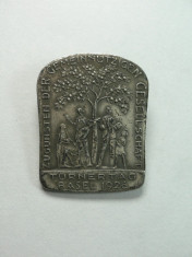 VECHE INSIGNA 1926 - BASEL ELVETIA - DIMENSIUNI 3 X 2,5 - METAL ARGINTAT foto