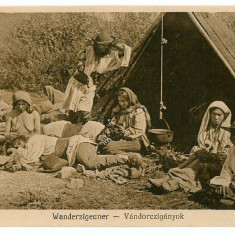 3 - Sibiu, TIGANI la cort, Romania - old postcard - unused - 1917