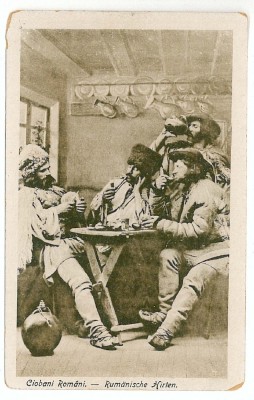 31 - Ethnics, CIOBANI la carciuma - old postcard - unused foto