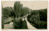 211 - CRAIOVA, Bibescu Park - old postcard, real PHOTO - used - 1930, Circulata, Fotografie