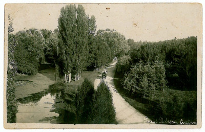 211 - CRAIOVA, Bibescu Park - old postcard, real PHOTO - used - 1930 foto