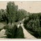 211 - CRAIOVA, Bibescu Park - old postcard, real PHOTO - used - 1930