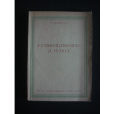 S. Schafler - Microorganismele si mediul (1955)