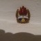 Insigna pionieri