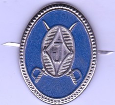 Insigna Cuc ,Insemn Jandarmerie foto