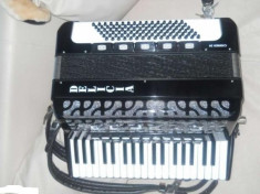 Acordeon Delicia Carmen 24 foto