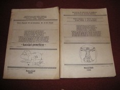 Ortopedie-Traumatologie (curs si lucrari practice) - A. Denischi, O. Medrea, Gh. Panait, D. Niculescu foto