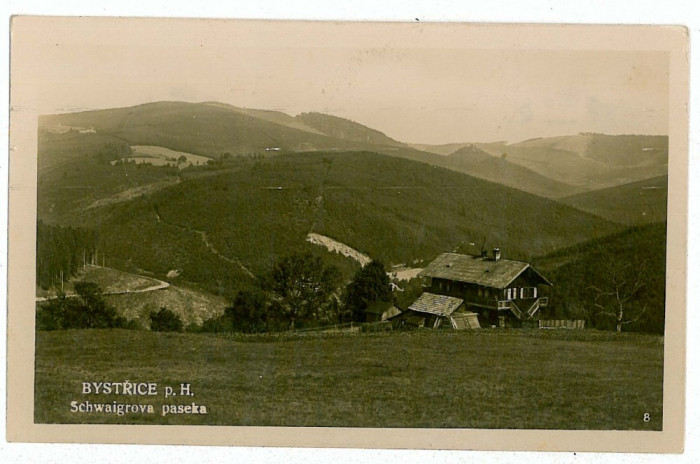 2089 - Czech Republic, BYSTRICE - old postcard, real PHOTO - used - 1931