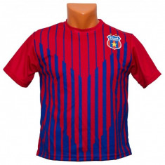 Tricou Steaua Ros-Albastru foto