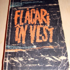 FLACARI IN VEST - Dragos Vicol