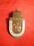 Insigna Ungaria -Statuia Sacrificiului National 1915 -Primul Razboi Mondial, Europa