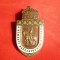 Insigna Ungaria -Statuia Sacrificiului National 1915 -Primul Razboi Mondial