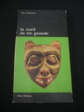 DAN GRIGORESCU - LA NORD DE RIO GRANDE * INTRODUCERE IN ARTA AMERIDINENILOR {Colectia BIBLIOTECA DE ARTA, 1985}, Alta editura