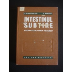 B. GHERGHESCU, D. REBEDEA - INTESTINUL SUBTIRE FIZIOPATOLOGIE CLINICA TRATAMENT {1975}