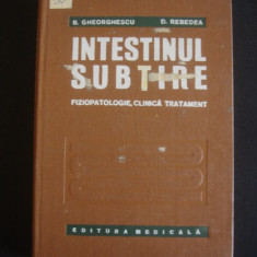 B. GHERGHESCU, D. REBEDEA - INTESTINUL SUBTIRE FIZIOPATOLOGIE CLINICA TRATAMENT {1975}