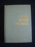 RISCUL MATERN PERINATAL - CONFERINTA NATIONALA DE OBSTETRICA-GINECOLOGIE {1975}, Alta editura