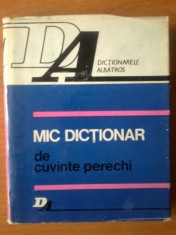 u3 Silviu Constantinescu - Mic dictionar de cuvinte perechi