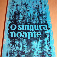 O singura noapte - Dumitru Dem Ionascu