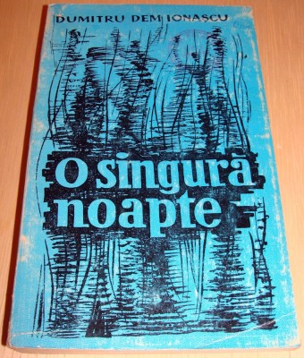 O singura noapte - Dumitru Dem Ionascu foto