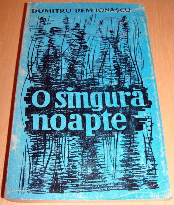 O singura noapte - Dumitru Dem Ionascu
