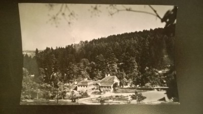 RPR - Vedere din Bazna foto