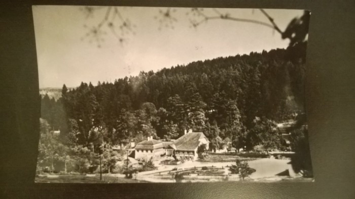 RPR - Vedere din Bazna