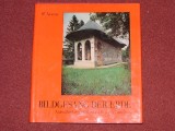 Păm&amp;icirc;nt c&amp;icirc;nt&amp;icirc;nd &amp;icirc;n imagini - Frescele exterioare ale m&amp;icirc;năstirilor din Moldova - Wilhelm Nyssen (text in limba germana), Alta editura