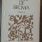 ION DEACONESCU - VASUL DE BRUMA (VERSURI) [editia princeps, 1985]