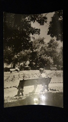 RPR - Urziceni - Vedere din parc foto