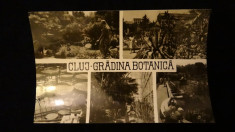 RPR - Cluj - Gradina Botanica foto