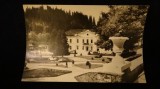 RPR - Borsec - Vedere din parc