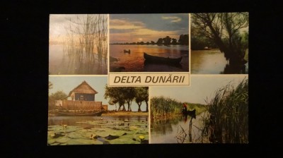 RPR - Delta Dunarii foto