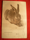 Carte Postala -Iepure ,circulata, cu stamp.de zbor 1937, Printata