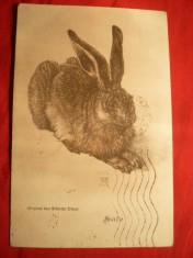 Carte Postala -Iepure ,circulata, cu stamp.de zbor 1937