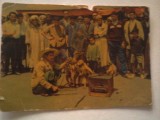 Carte postala - Maroc pittoresque