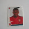 POZE/STICKERE PANINI - NR 489 - FC ARSENAL - UEFA CHAMPIONS LEAGUE - 2009-2010